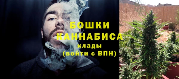 мескалин Ельня