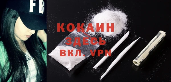 мескалин Ельня