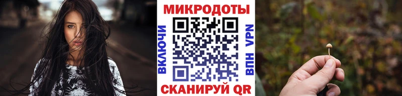 Псилоцибиновые грибы Cubensis  блэк спрут ССЫЛКА  Каменногорск  наркошоп 